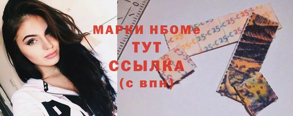 стаф Богородск