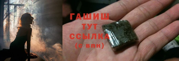 стаф Богородск