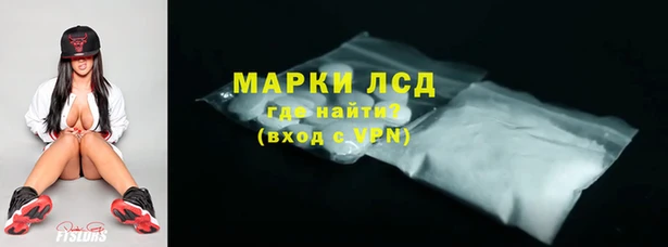 стаф Богородск