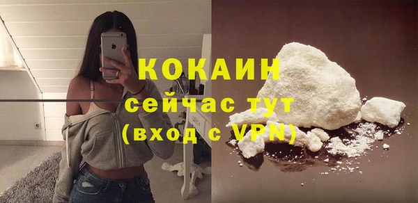 твердый Богородицк